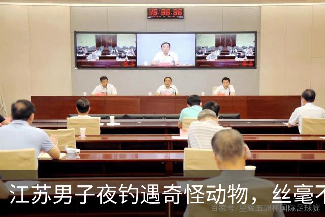 江苏男子夜钓遇奇怪动物，丝毫不怕人主动凑近讨食！网友：后台硬胆子就是大