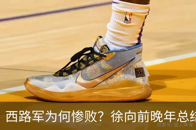 西路军为何惨败？徐向前晚年总结四大原因，马家军的勇猛并非关键因素