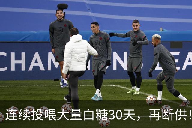 连续投喂大量白糖30天，再断供！国外网红扮“蚂蚁天神”整蛊野生蚁群